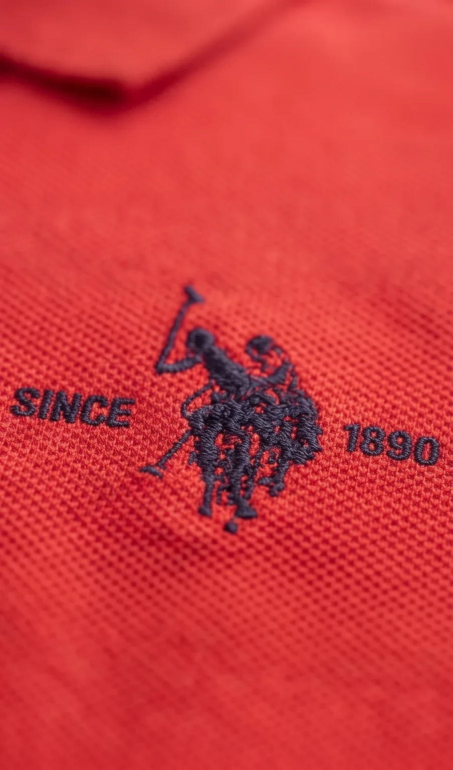 Red embroidered pique polo, micro view, development reference